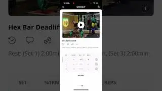 Tips & Tricks for navigating the Everfit app