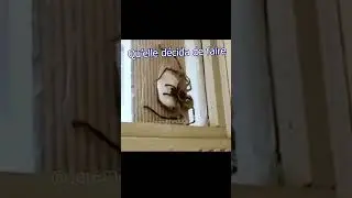 C'est parti en arachnide