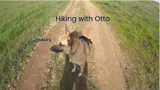 My Dog Otto Taking Me Hiking at Dinosaur Point