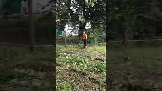 Clearance on land for new build property development Karl Fischer Garden Grounds & Tree Liverpool
