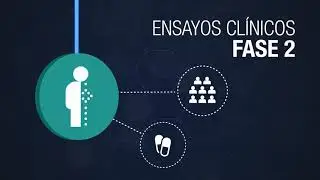 El trayecto del ensayo clínico