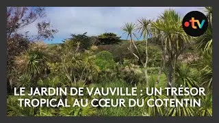 🌿 &Agrave; la d&eacute;couverte du Jardin de Vauville : Un tr&eacute;sor tropical au c&oelig;ur du Cotentin 🌎