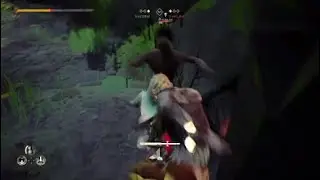 Absolver fun*