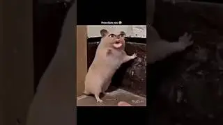 How dare you 😜😆 #funnyvideo #memes #shortvideo #Narendra R.V