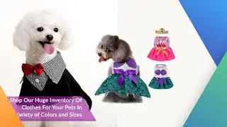 Paws N  Play Pets Video Commercial