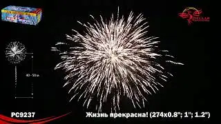 PC9237 Жизнь прекрасна