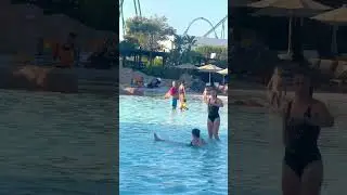 💦Splash The Water Best Wave Pool - Water Park Fun Time💫 #wavepool #waterpark