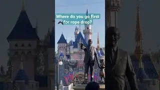 Rope Drop Disneyland #disney #peterpan #fantasyland #ropedrop #disneyland