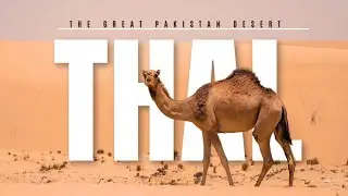 Discovering the Mysteries of Thal Desert