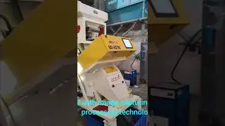 Apple color sorter's channa dhall sorting process