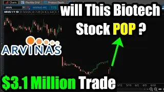 $3.1 Million Bet on This Biotech Stock: Arvinas (ARVN) &mdash; Buy?