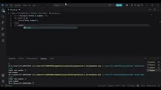 python 