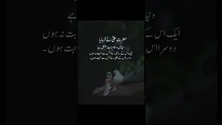 Hazrat Ali's Wisdom: Navigating Life's Challenges