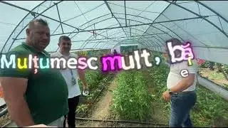 Ieri am montat plasa de umbrire pe solar! Ce plasă am folosit și cum am procedat la montare&hellip;
