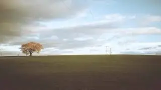 Tom Fahy: Emer's song