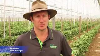 Oji Fibre Solutions customer story