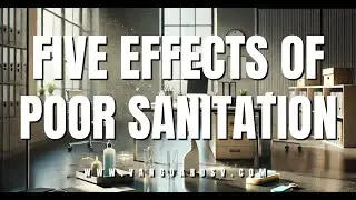 Five Effects of Poor Sanitation