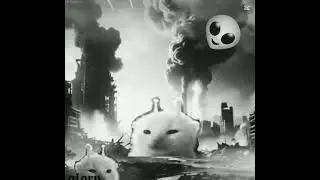 All cat memes