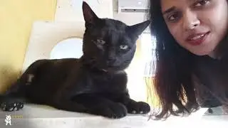 What we do at TWS | Lahore Animal Shelter