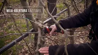 PT - ARBORICULTURA - Tesoura de podar F3020 / POWERCOUP PW3 - INFACO