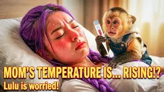Mom Rumi is Sick! Can Smart Monkey Lulu Help Her Get Better?