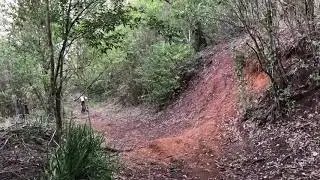 shralping berms and scrubbing ferns!