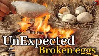 Creative Wild Cooking Recipes You Haven't Tried | Dishes Naturally
