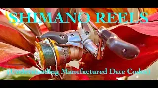 How to Read Shimano Reel Date Codes of Being Manufactured!