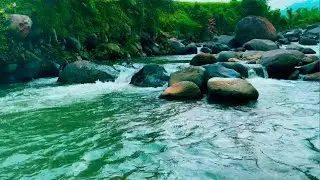 Nature&rsquo;s Whisper &ndash; Calm Your Mind with Peaceful Sounds for Sleep and Relaxation