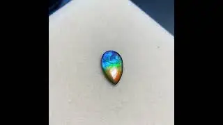 Canadian Ammolite Triplet Gemstone Rainbow Color #naturalgems #authentic #beautysupply #ammolite