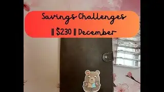 Savings Challenge || $230 || December || 2025