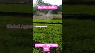 Netafim D-Net Mini Sprinkler #modernfarmer #indianfarmer #agriculture #motivation #minisprinkler