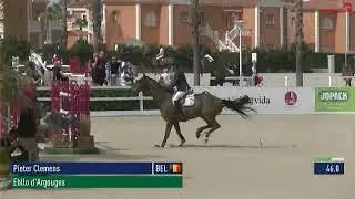 EHLLO D'ARGOUGES: Born in 2014 by Canturo Bois Margot/Opium de Talma - CSI3* 150 cm Grand Prix