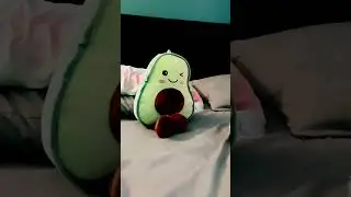 ✨My stuffed animal collection ￼✨