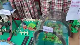 science exhibition project ### of agricultural model