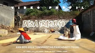 Video Profil Desa Trimulyo Sukorejo Kendal | Tim KKN UPS TEGAL 2024
