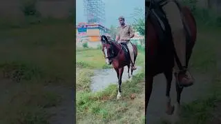 UPSI Horse Riding Training | UP Police Sub Inspector | UPP COP | UPSI 2023 | Si_shivang