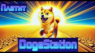 Первая выплата с DogeStation