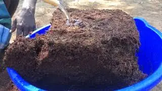 Coco Peat 5Kg block - Easy to breakout within 2min - Coco Peat Exporter - Earthsense Agro
