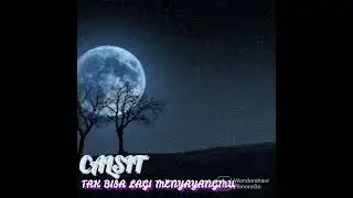 CALSIT -TAK BISA LAGI MENYANYANGMU (official accoustic)