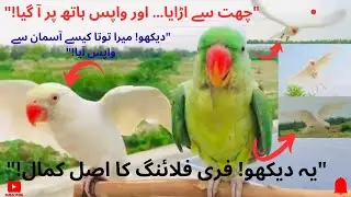 🦜 