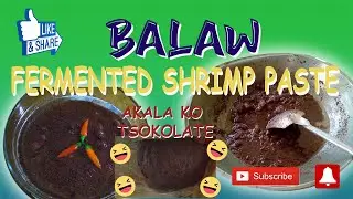 Balaw | FERMENTED SHRIMP PASTE