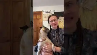 Our message to the world! 🤍 #goviral #pug #mypug #cute #trending #pets #fypシ #shorts #world #news