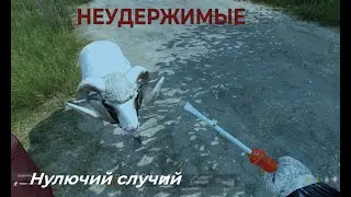 DAYZ | ОХОТА НА БАРАНЬЮ | НЕУДЫ НУЛЯЧИЙ СЕРВЕР | ХАРДКОРНОЕ ВЫЖИВАНИЕ В СОЛО!