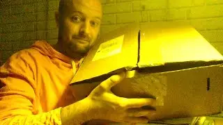 RSD 2021 June Drop