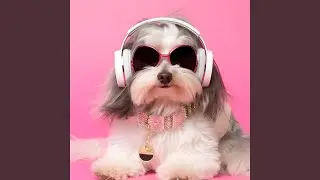 Serene Pet Music