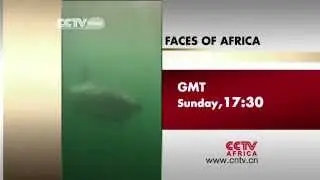 Faces Of Africa - Monwabisi and the Sharkspotters (Promo)
