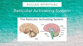 Kuliah Spiritual : Belajar RAS