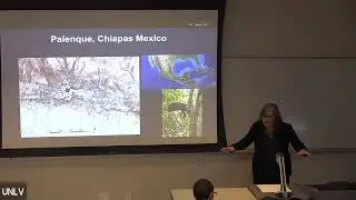 Urban Life in the Ancient Maya City of Palenque, Chiapas, Mexico