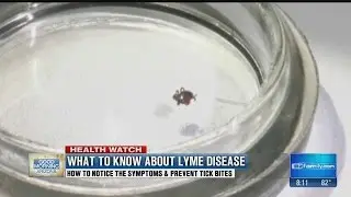 What Arizonans need to know about Lyme disease